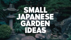Small Japanese Garden Ideas