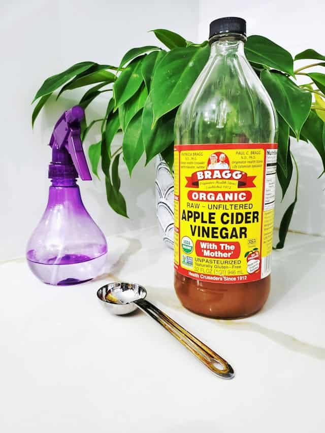 Spray Bottle and Apple Cidar Vinegar