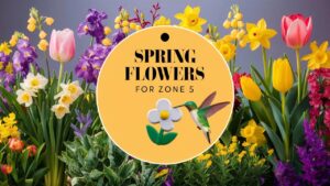 Spring Flowers For Zone 5