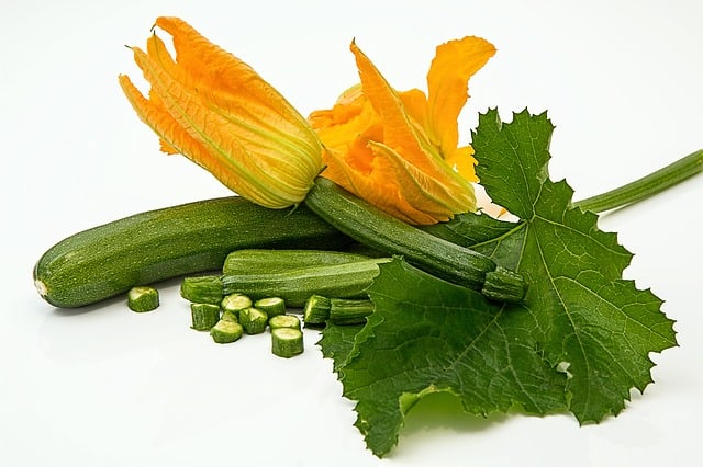 Harvesting Zucchini