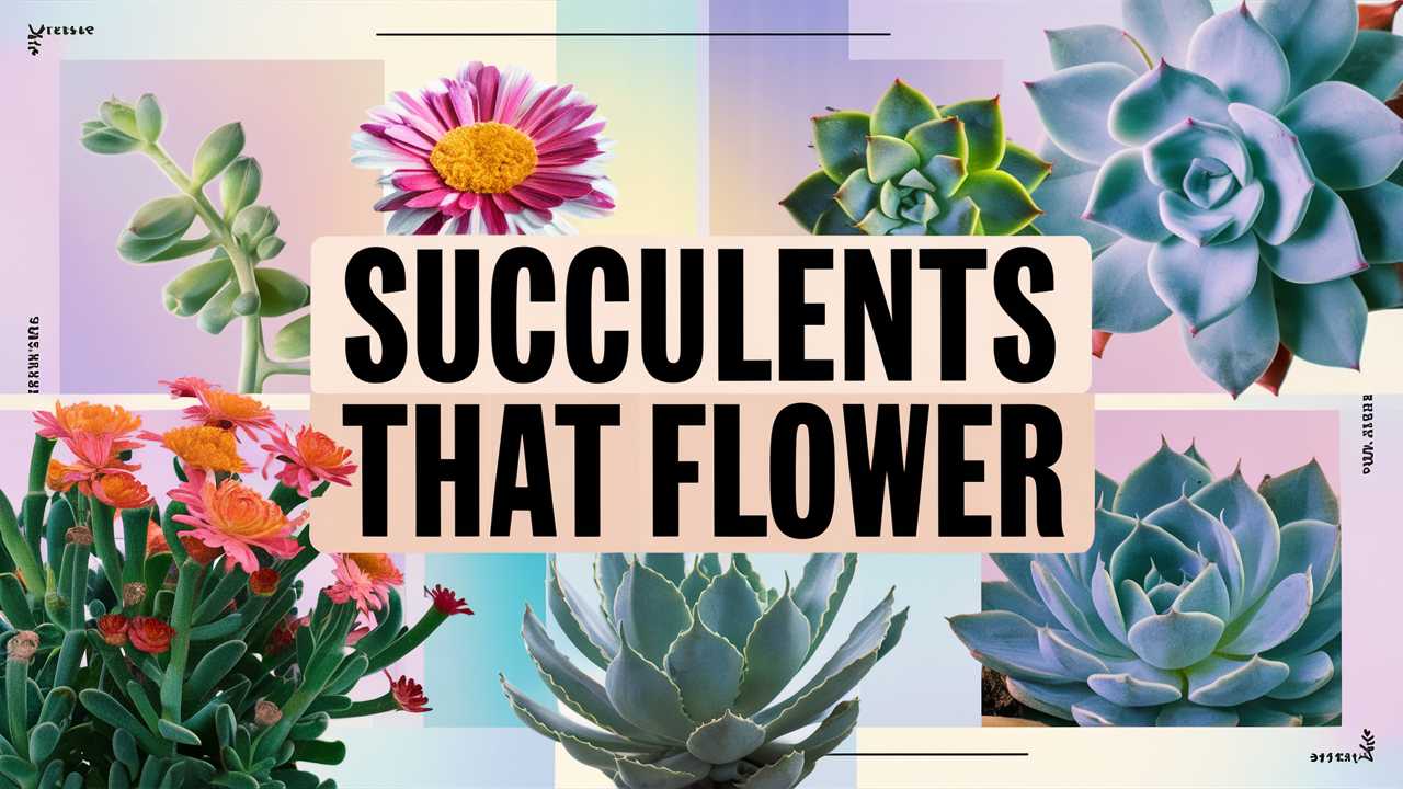 Succulents That Flower