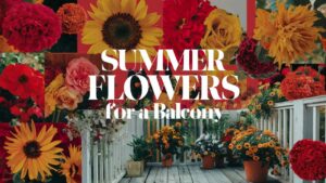Summer Flowers For a Balcony
