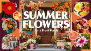 Summer Flowers For a Front Porch