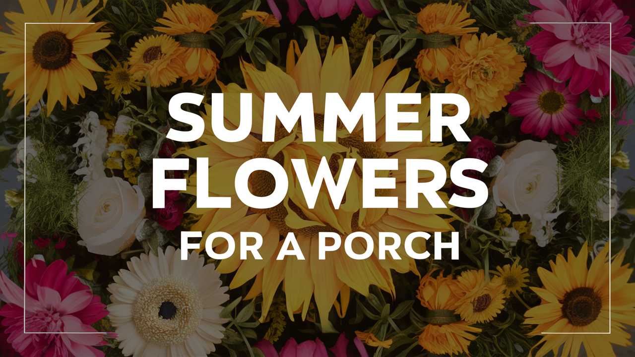 Summer Flowers For a Porch
