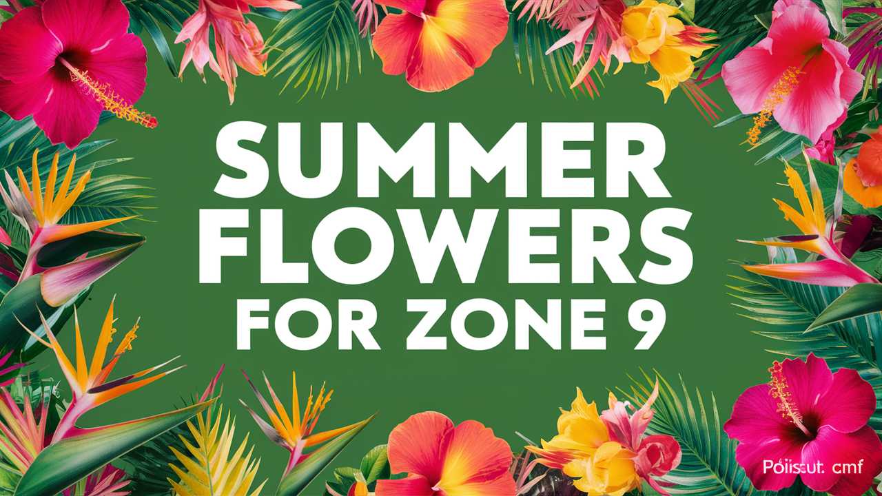 Summer Flowers For Zone 9