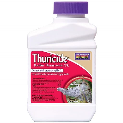 Thuricide BT Insect Killer