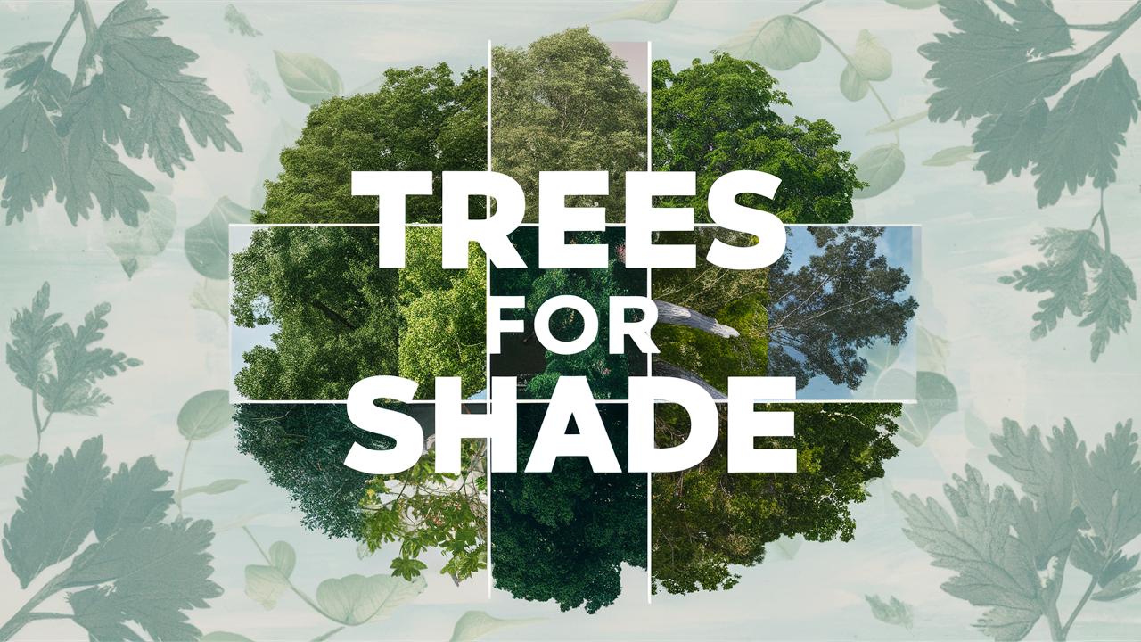 Trees for Shade