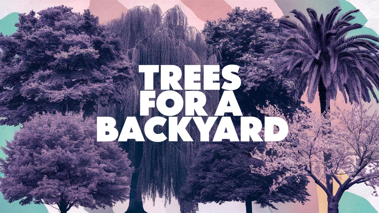 Trees for a Backyard
