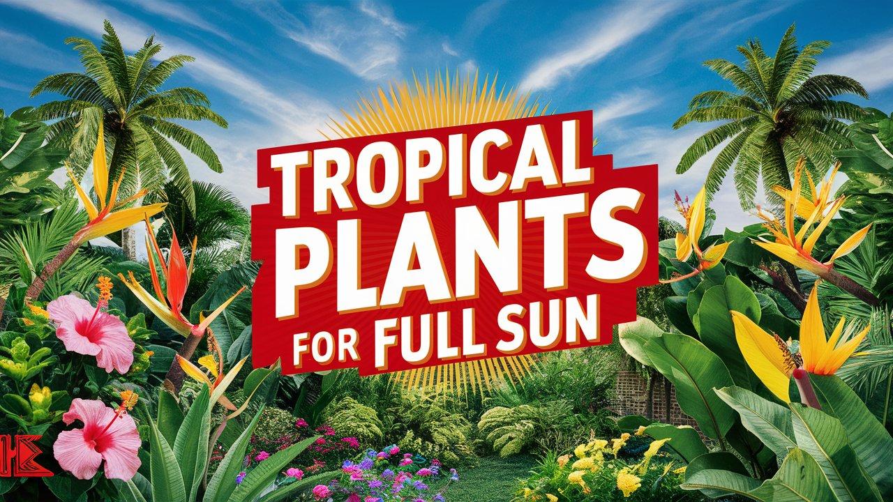 Tropical Plants For Full Sun