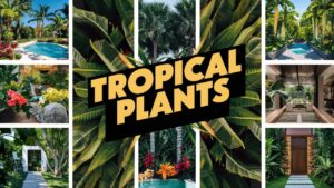 Tropical Plants Landscaping Ideas