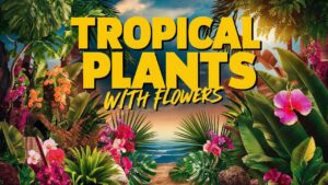 Tropical Plants With Flowers