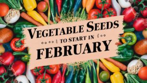 Vegetable Seeds To Start In February