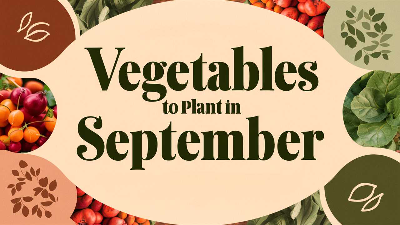 Vegetable To Plant In September