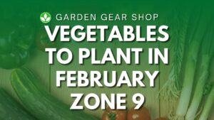 Vegetables To Plant In February Zone 9