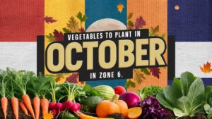 Vegetables To Plant In October In Zone 6