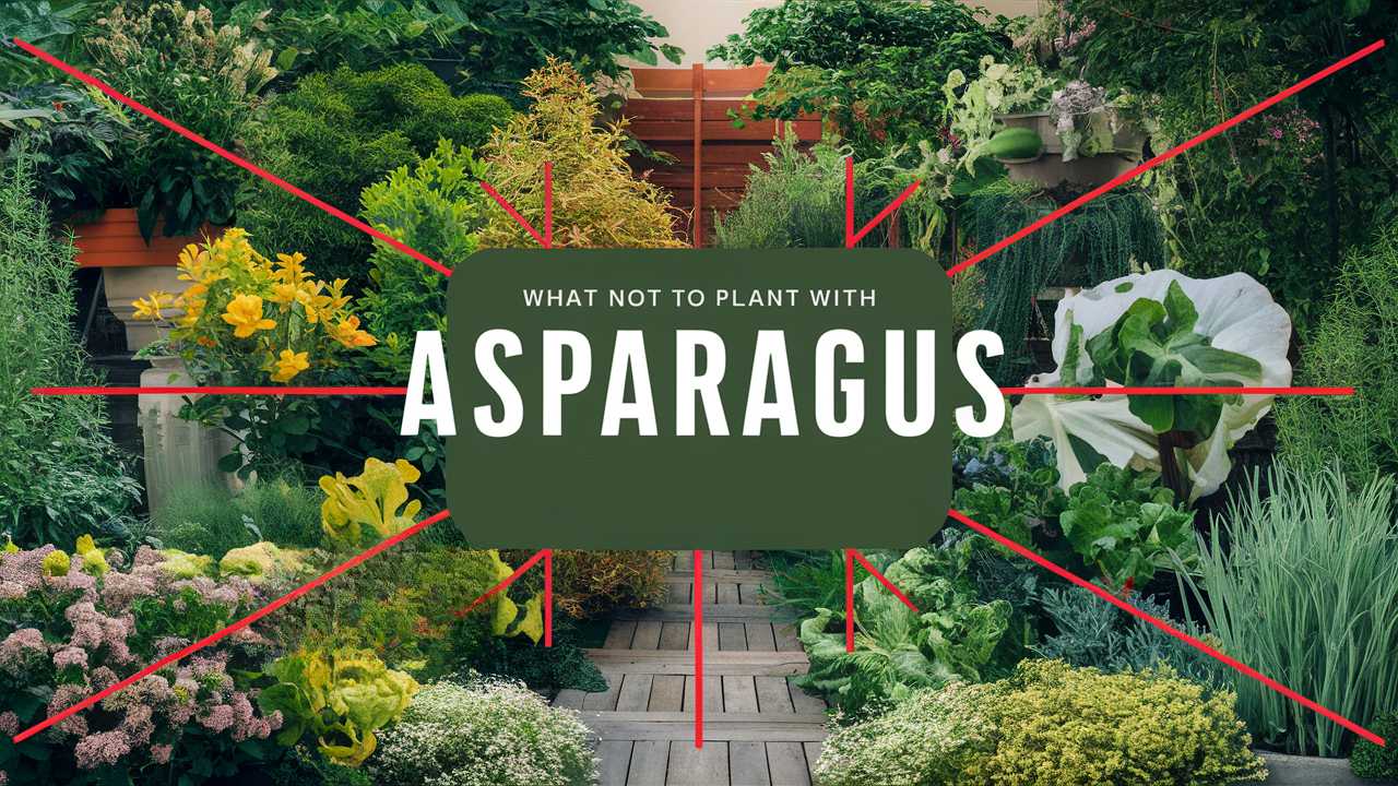 What Not To Plant With Asparagus