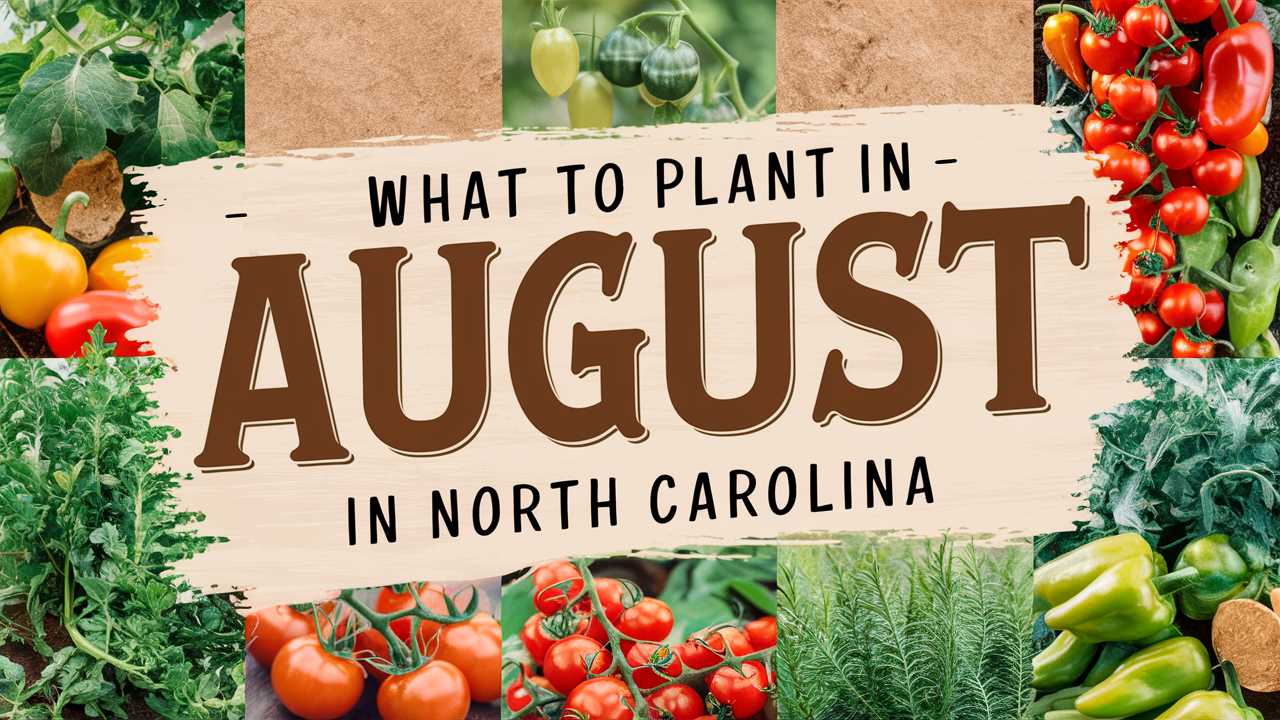 What To Plant In August In North Carolina