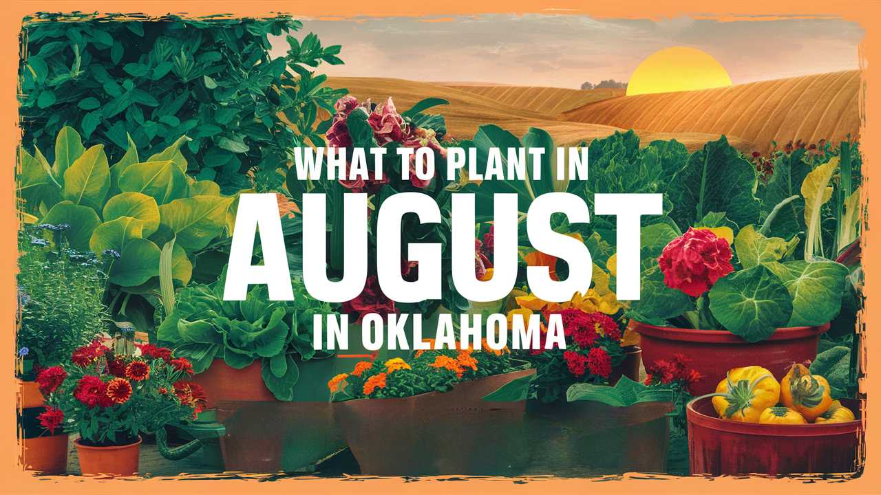 What To Plant In August In Oklahoma
