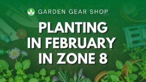 What To Plant In February For Zone 8