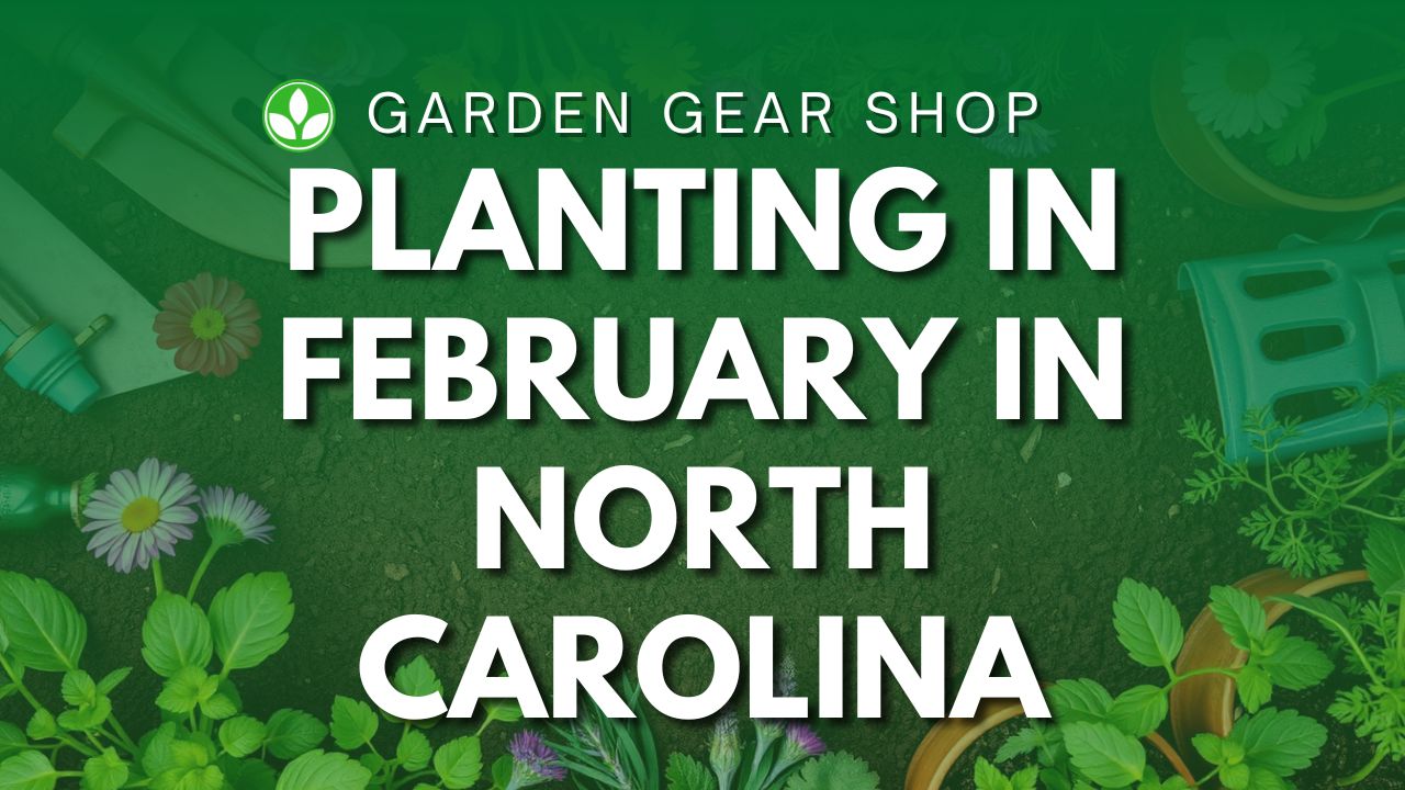 What To Plant In February In North Carolina