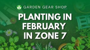 What To Plant In February In Zone 7