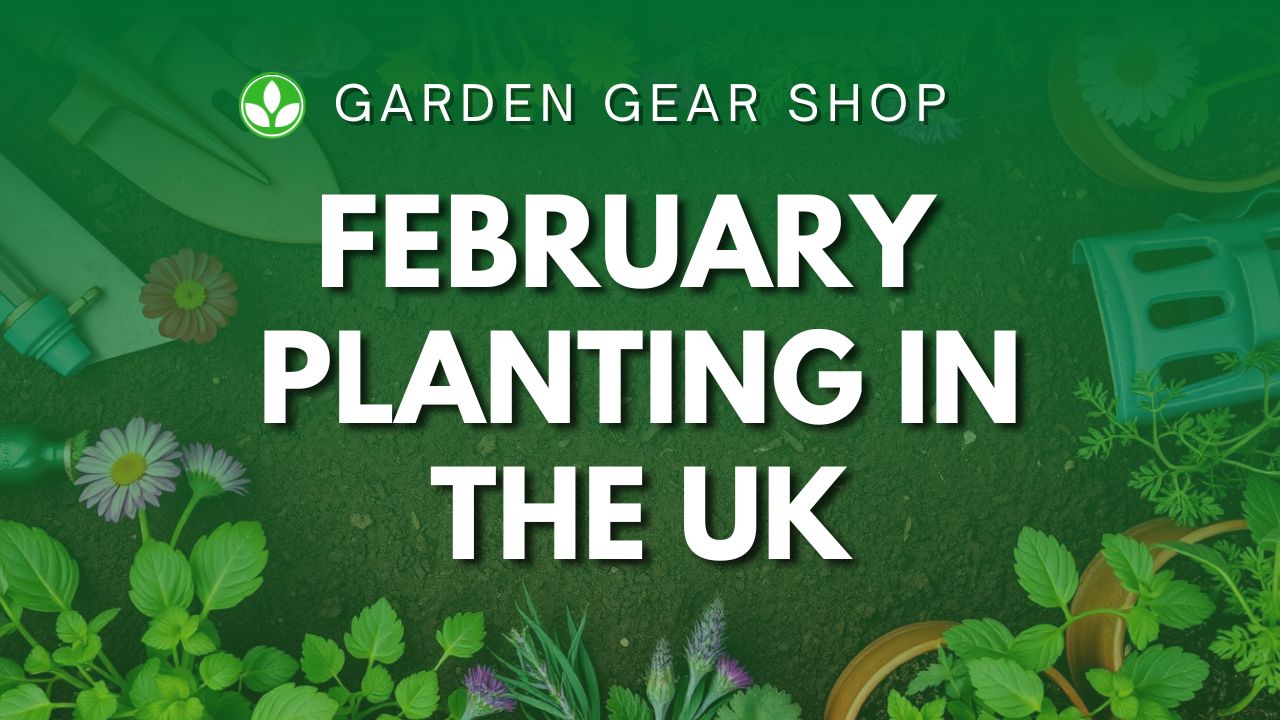 What To Plant In February UK