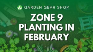 What To Plant In February Zone 9