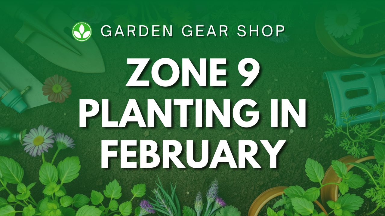 What To Plant In February Zone 9