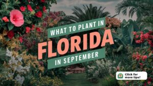 What To Plant In Florida In September