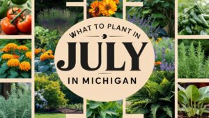 What To Plant In July In Michigan