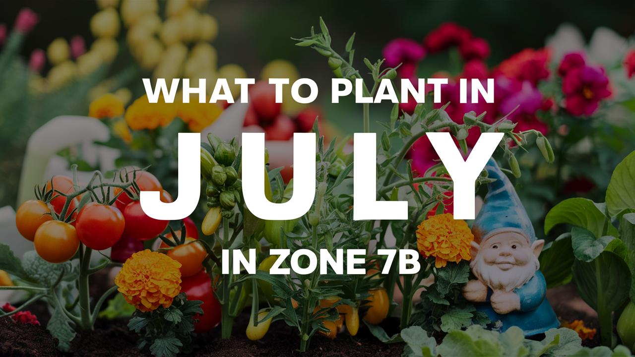 What To Plant In July In Zone 7b