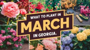 What To Plant In March In Georgia