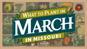 What To Plant In March In Missouri