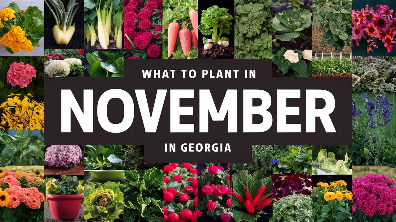 What To Plant In November In Georgia