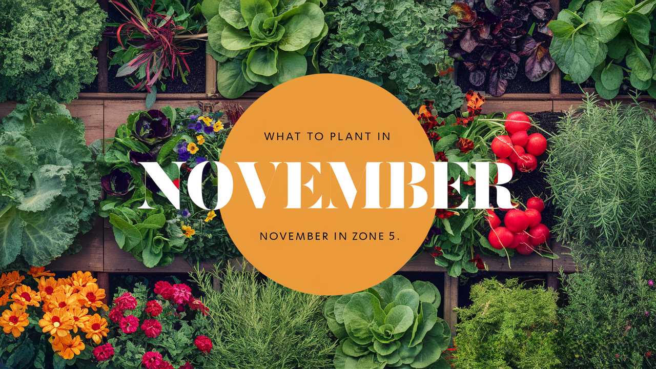 What To Plant In November In Zone 5