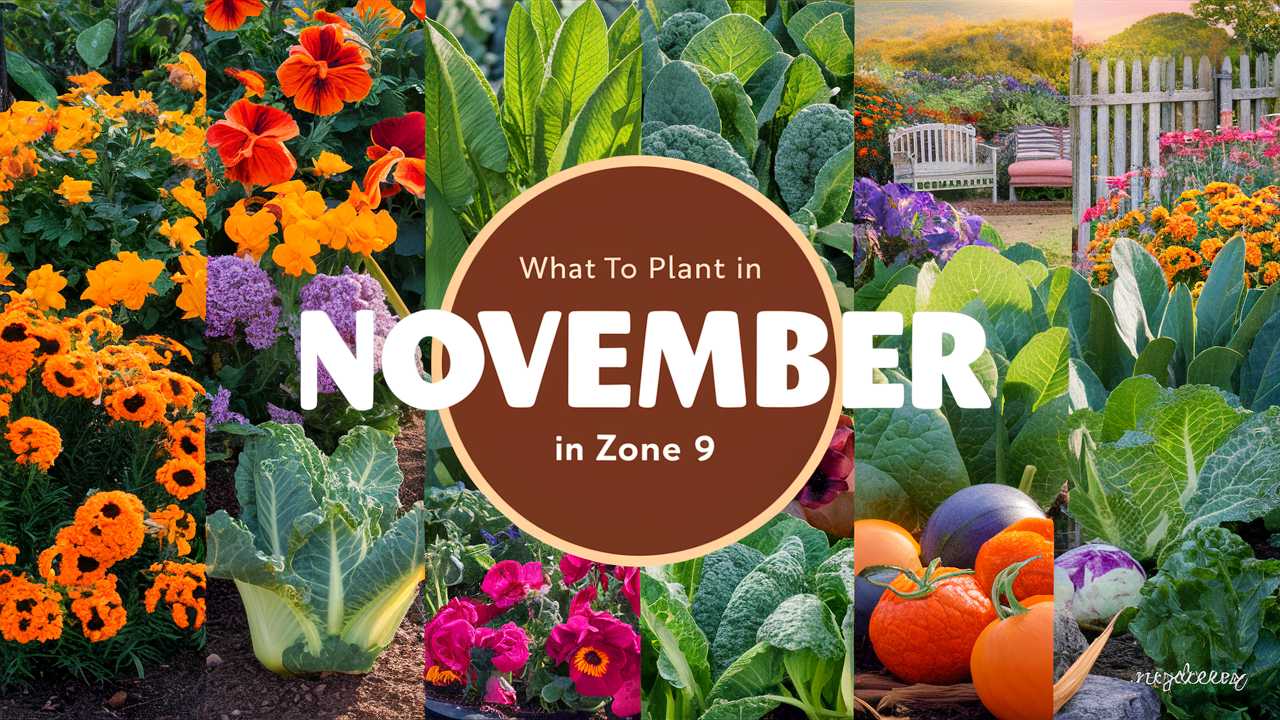 What To Plant In November In Zone 9
