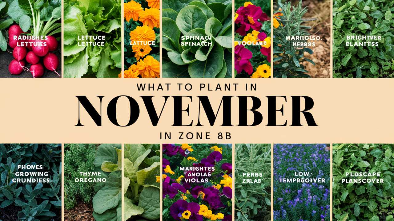 What To Plant In November in Zone 8b