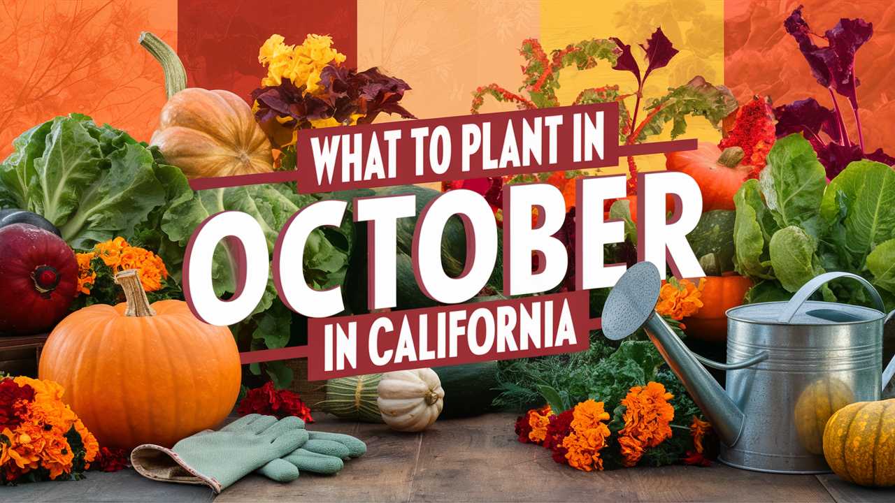 What To Plant In October In California