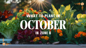 What To Plant In October In Zone 8