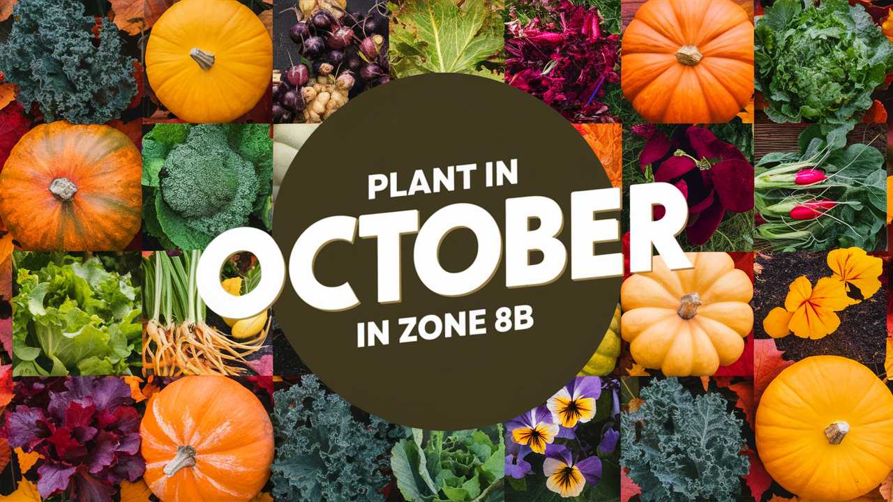 What To Plant In October In Zone 8b