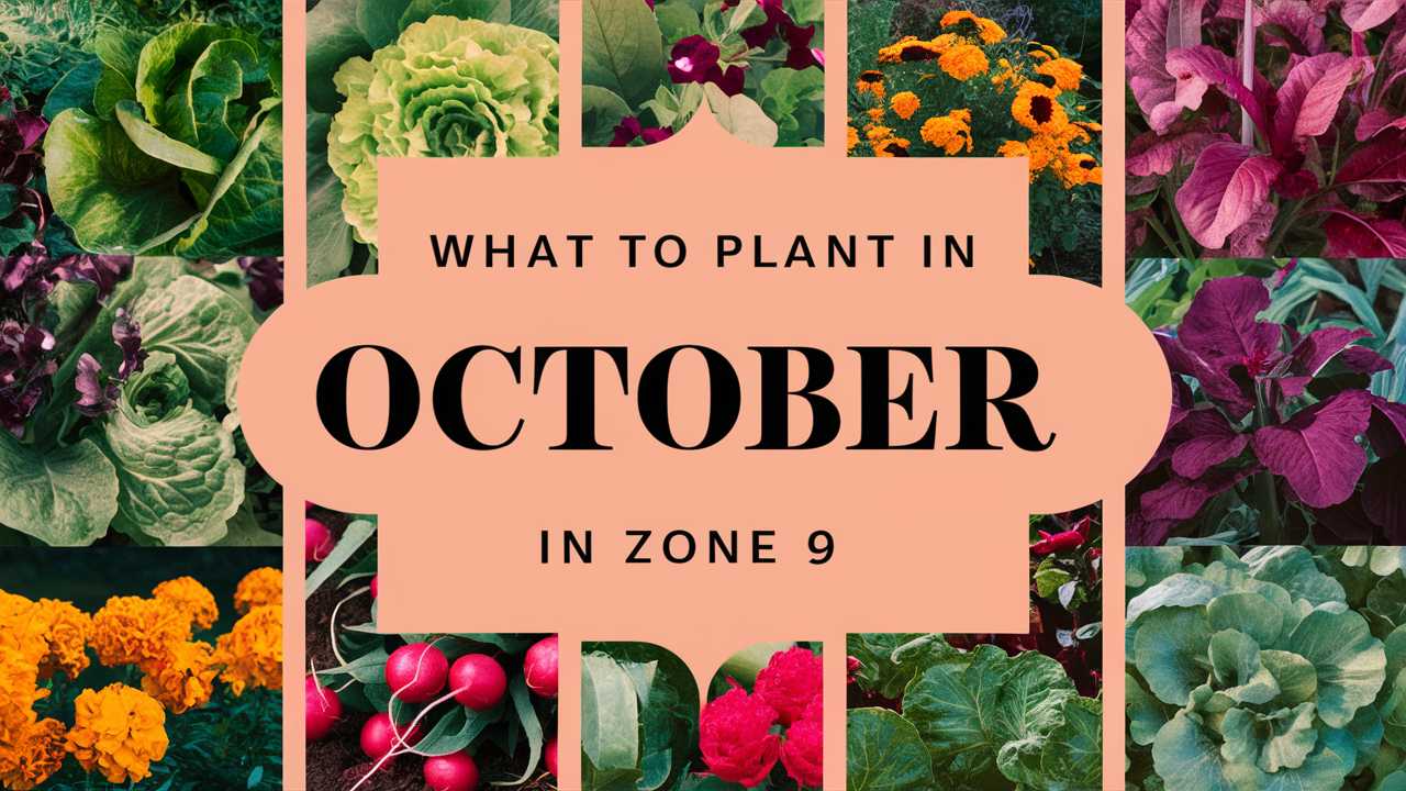 What To Plant In October In Zone 9