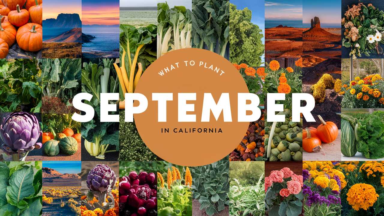 What To Plant In September In California
