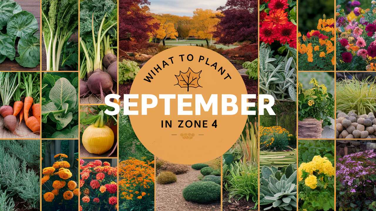 What To Plant In September In Zone 4