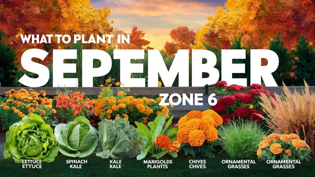 What To Plant In September In Zone 6