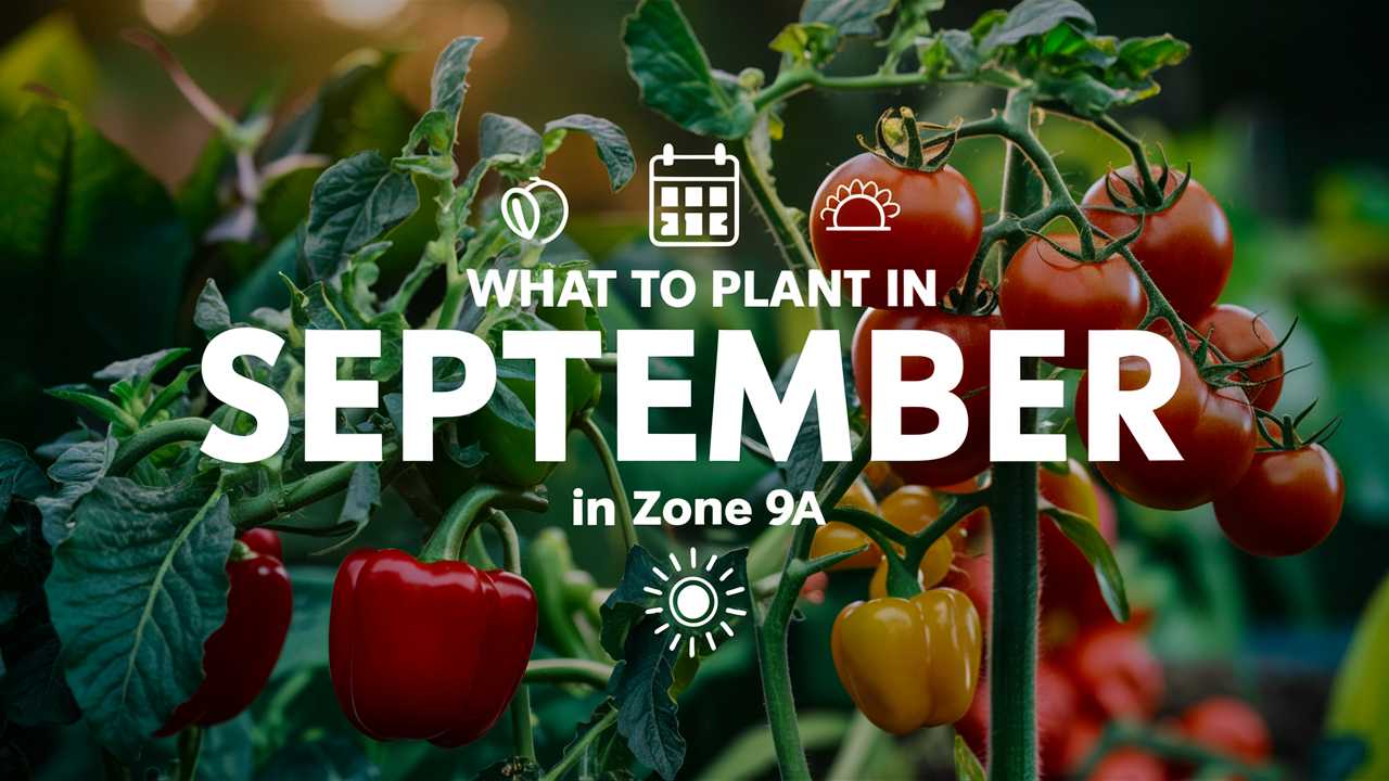 What To Plant In September In Zone 9a