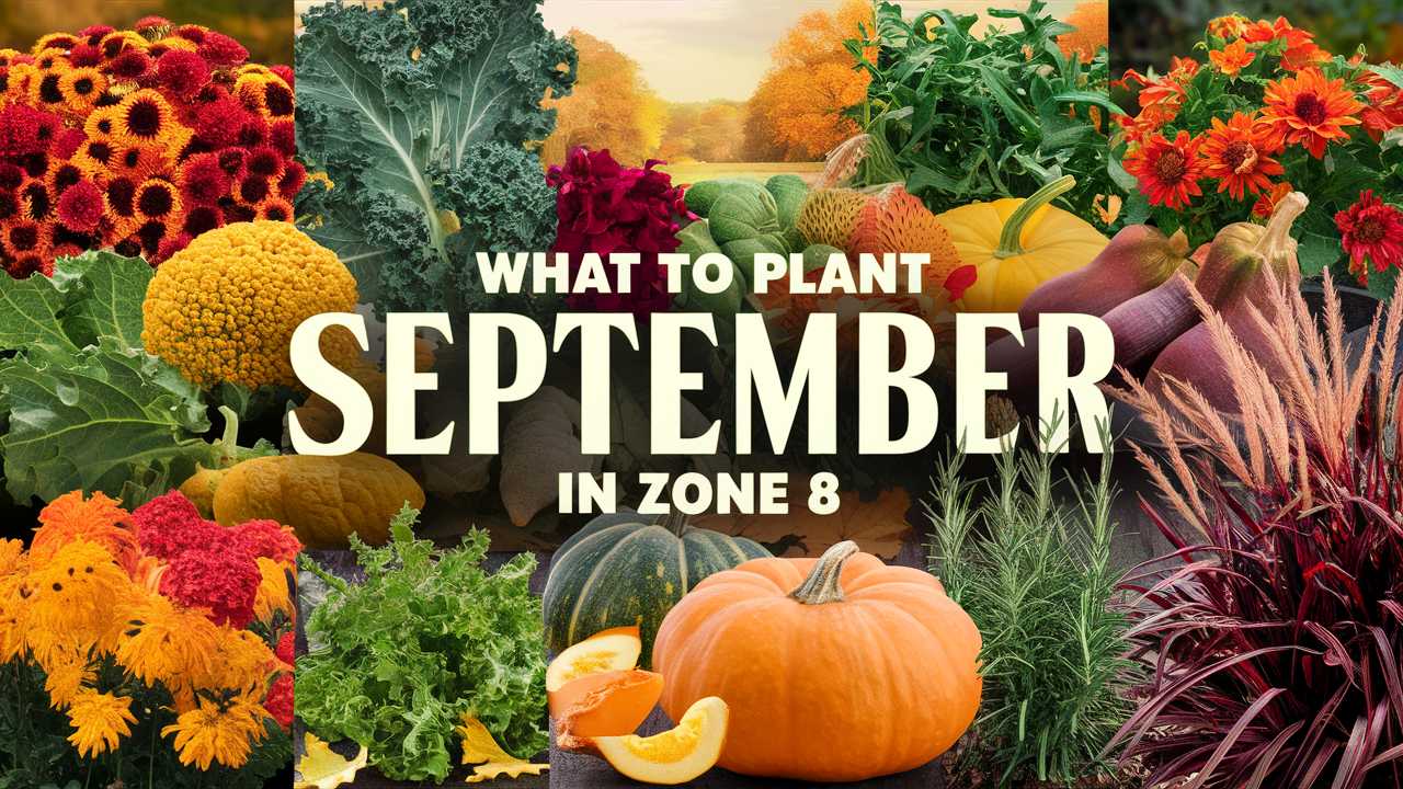 What To Plant in September In Zone 8