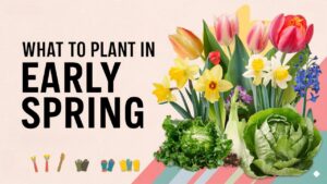 What To Plant in Early Spring