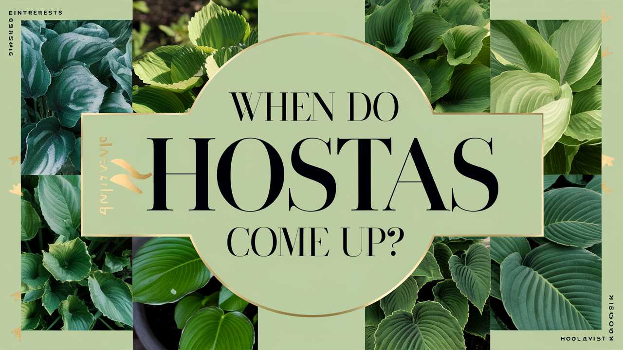 When Do Hostas Come Up