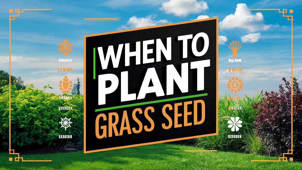 When To Plant Grass Seed