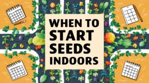 When To Start Seeds Indoors